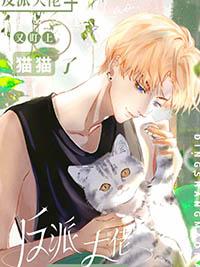 漂亮宠物猫