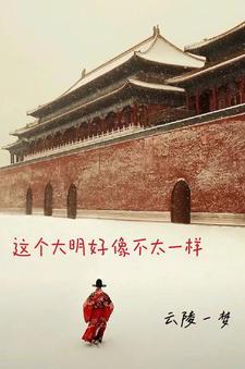 这个大明好像不太一样gl