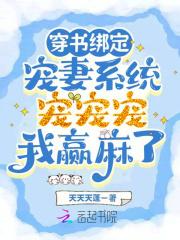 绑定系统 - 宠妃系统宠妃晋级计划书