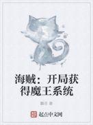 开局海贼王无敌