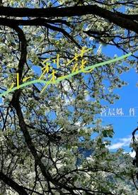 小梨花(校园h1V1)作者月明中