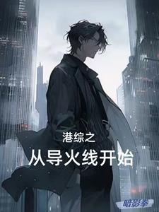 港综警探
