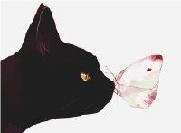 猫老师的奇幻校园