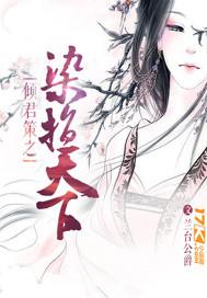 倾君策