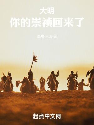 大明 崇祯