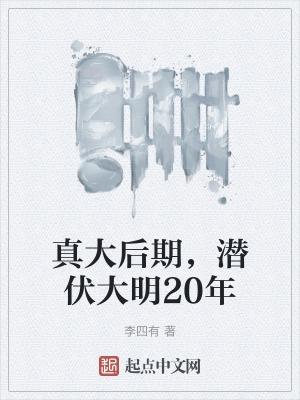 大明第一卷王