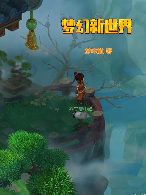 梦幻新世代攻略