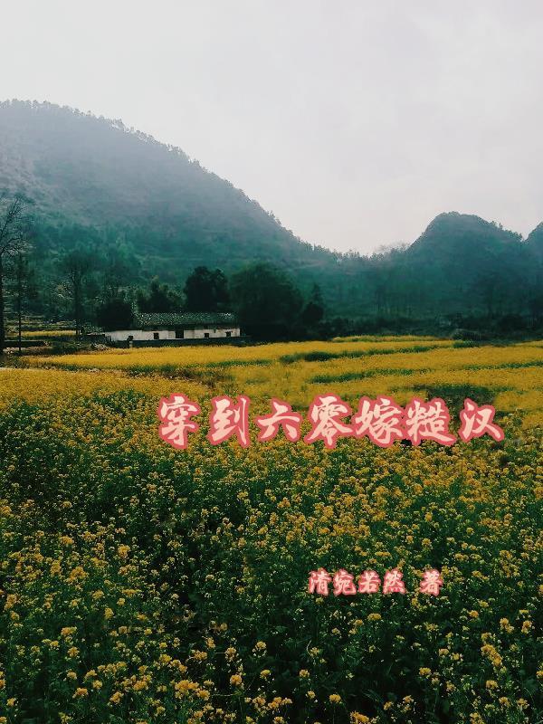 穿到六零嫁糙汉 清宛若然