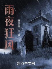 狂风暴雨的夜晚说说