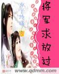 将军求放过gl