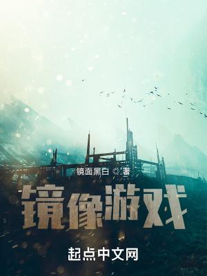 镜像游戏免费阅读