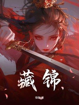 藏锦罗是什么面料