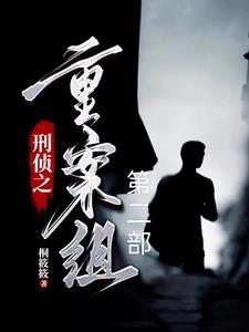 刑侦探案2