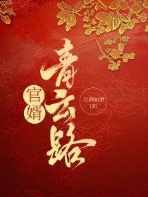 官婿青云路王大勇李梦兰