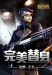 完美替身简安
