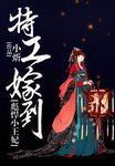 特工穿越替嫁王妃