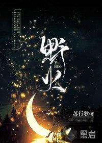 野火by夏多布里昂txt笔趣阁