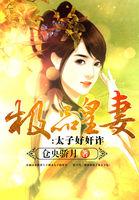 极品皇太子全文阅读