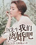 厉先生我们离婚吧免费