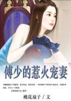 傅少的宠妻日常免费阅读