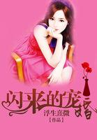 高甜闪来的暖婚