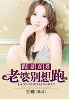 老婆别想逃结局