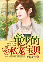 帝少私宠宝贝妻完整版免费