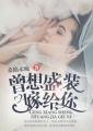 曾想盛装嫁给你完整版txt