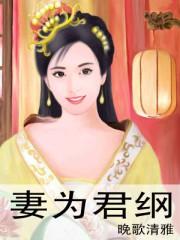 妻为君纲简介