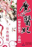 魔王宠妻腹黑小魔妃