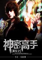 神秘高手现身踢馆