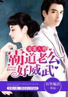 宠妻入骨神秘老公免费阅读