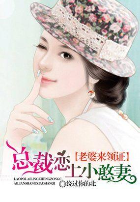 豪门总裁的双胞胎新娘