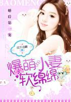 婚后蜜宠 萌妻至上全文免费