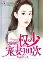 婚宠之2权少霸爱