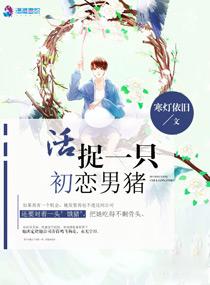 傲娇老婆带回家