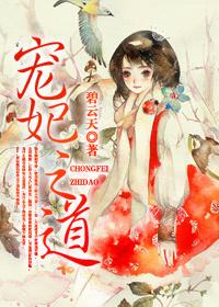 宠妃之道碧云天晋江