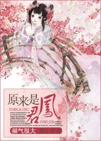 凤君的意思