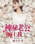 神秘老公缠上我免费