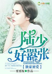 独家蜜婚陆少心尖宠妻免费阅读全文