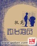 政治抱负可以加什么词