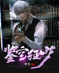 鉴宝狂少境界划分