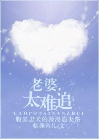 老婆太难追电视剧