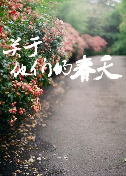 关于他们的春天好看吗