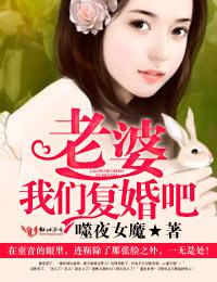 老婆我们复婚吧1