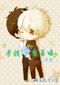 考核帝容易嘛网配 TXT