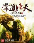 掌御诸天时空顶点