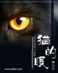 猫的眼神为什么很凶