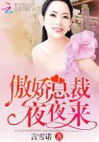 傲娇总裁别想跑