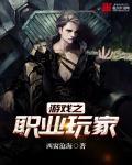 职业玩家全文